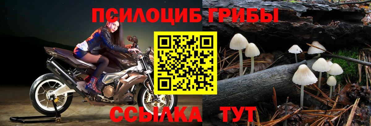 Псилоцибиновые грибы Psilocybe  купить наркоту  Галлюциногенные грибы прущие грибы  Кинель  Вход с VPN 